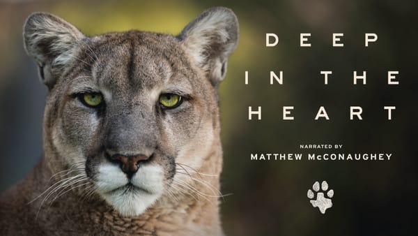 Deep in the Heart with Christian von Preysing-Barry